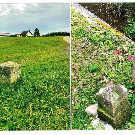 Uebernachtungsmoeglichkeit In Maierhoefen Grunenbach Eksteriør bilde